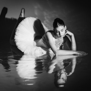 Reflection in Repose